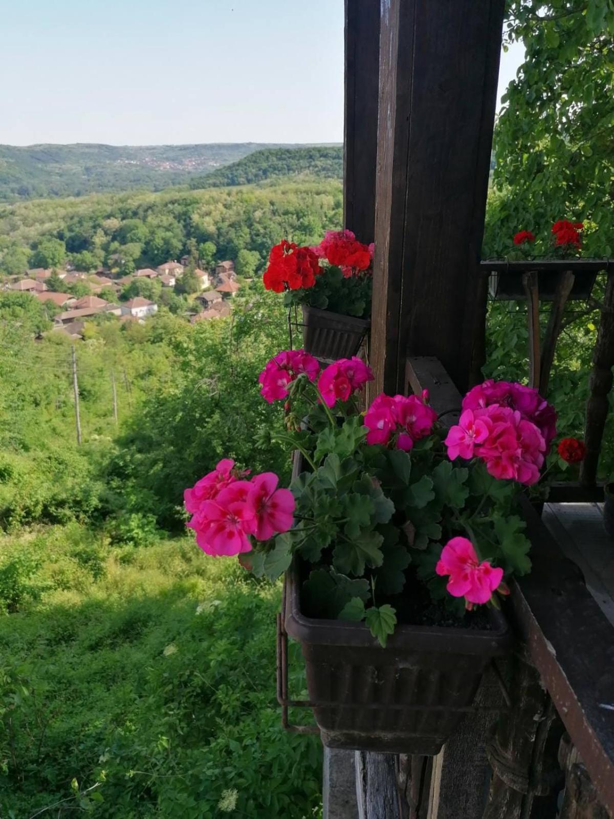Апартаменты Country House Pivnica Milic Rogljevo Экстерьер фото